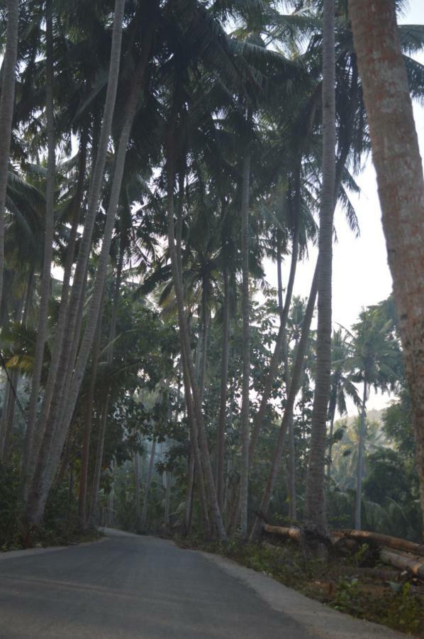 Nyuh Gading Bungalow Nusa Penida Sakti 외부 사진